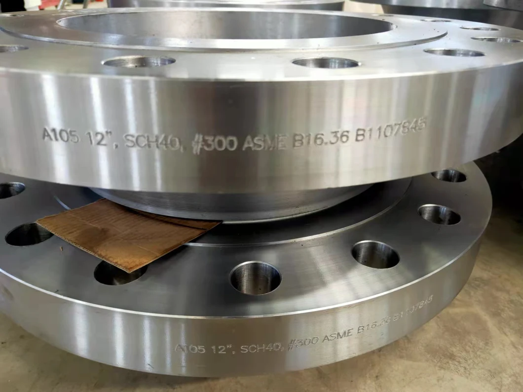 ANSI B16.36 Orifice Flange Class 300 Forged Orifice Wn Flanges So Flanges Th Flanges