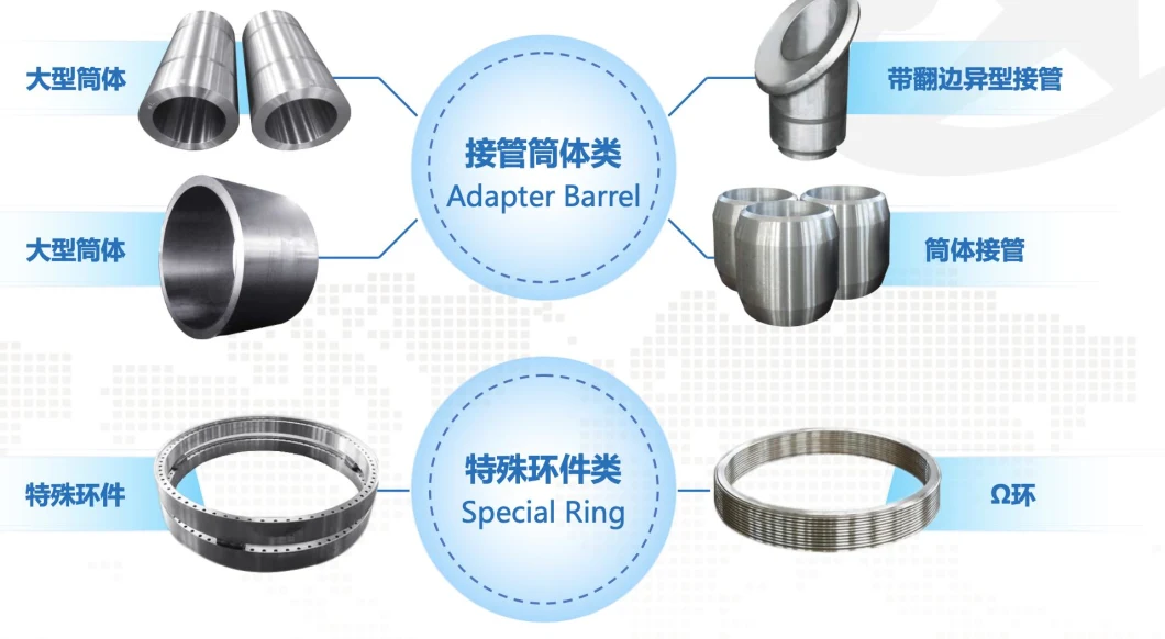 Flange Cylinder ASME/ANSI/DIN/En/GB/JIS/RF/FF/Rtj 150#-2500# Carbon Steel /Stainless Steel /Alloy Steel Forged Wn/So/Threaded/Plate/Socket/Blind Flange