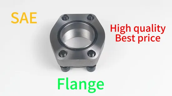 합금강 A182 F11 B16.5 150lb 단조 랩 플랜지