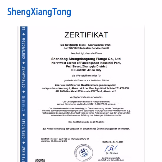 ANSI B16.5/ASTM A105 DIN/GOST/BS 탄소강/Q235/스테인레스강 FF RF Wn/So/스레드/플레이트/소켓 단조 플랜지 중국 제조